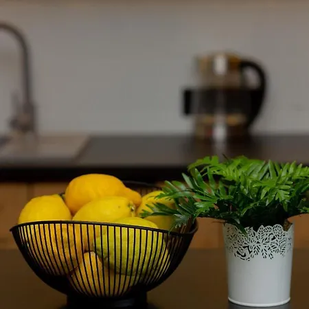 公寓 Grojecka Studio For 3 Guests With Balcony By Renters 华沙